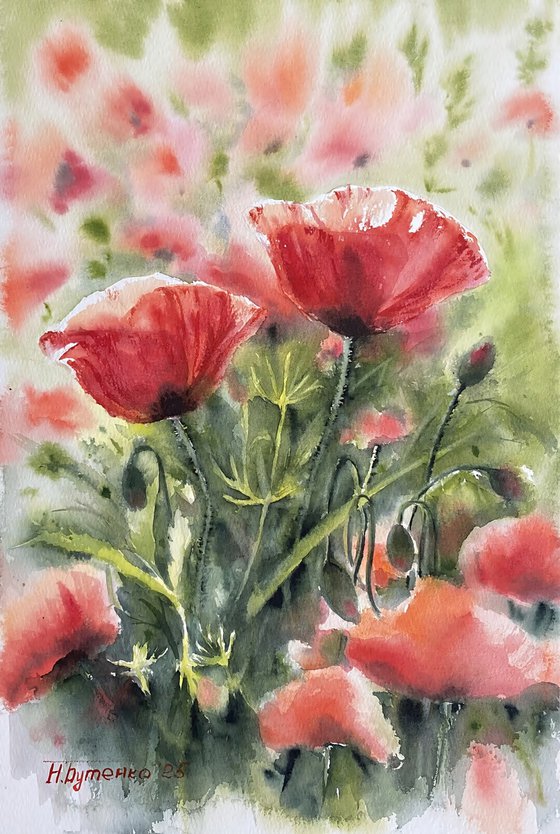 Poppies, flowers, watercolour