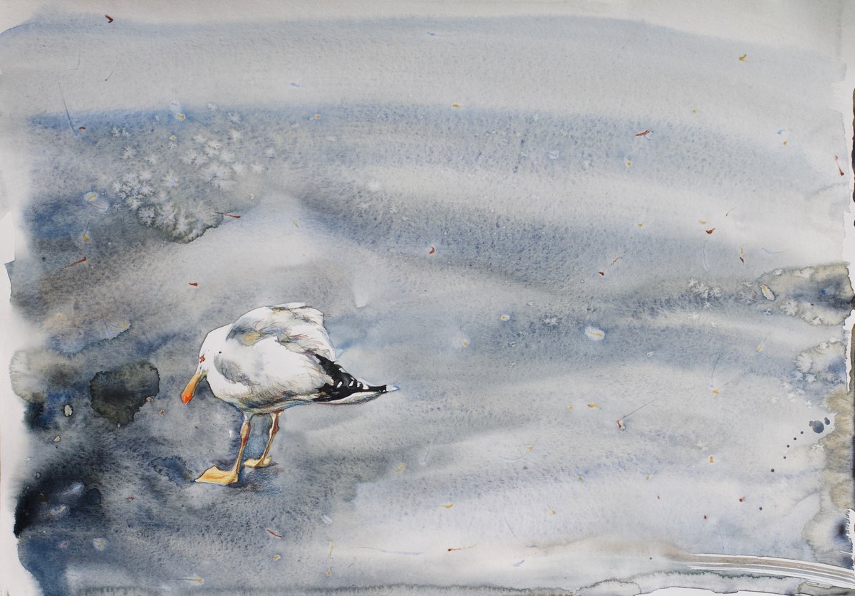 A sullen seagull by Marina Skepner
