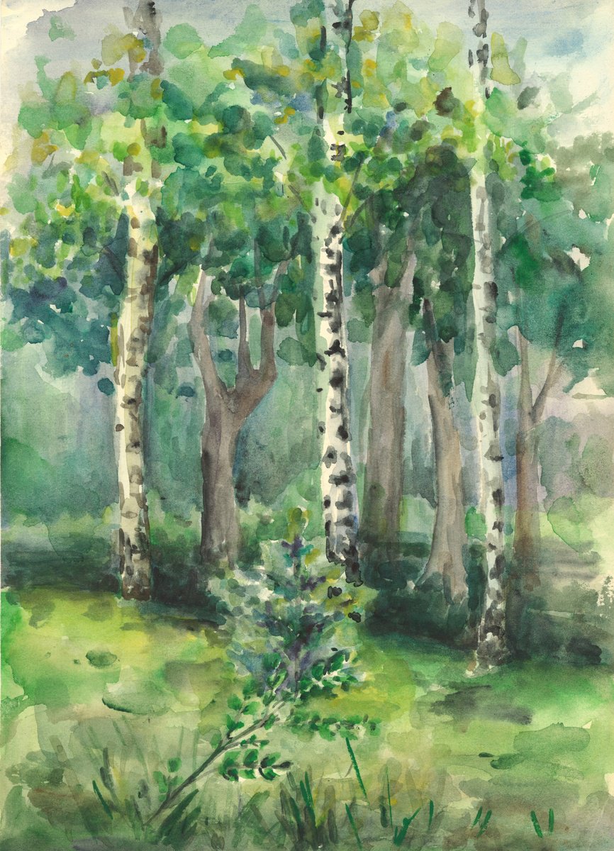 Impressionistic Landscape Watercolour By Sonata Art, 16 X 20", Birch Meadow 2, Original Artwork
