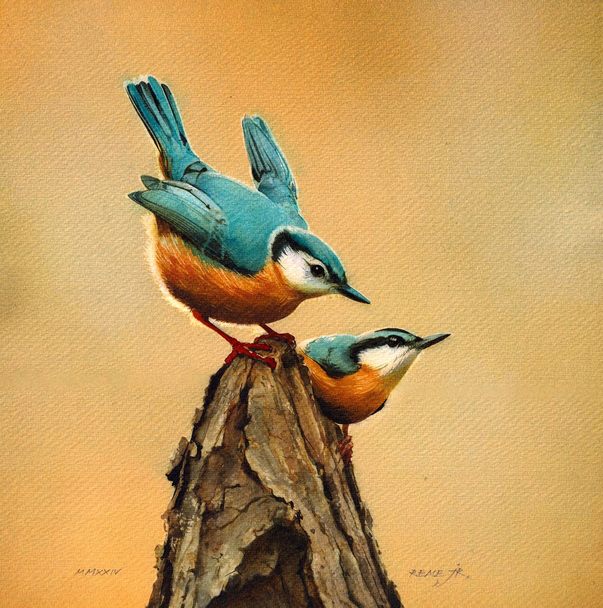 Photorealistic Animal Watercolour By Reme Jr., 11 X 11", The Nuthatches, Original Artwork
