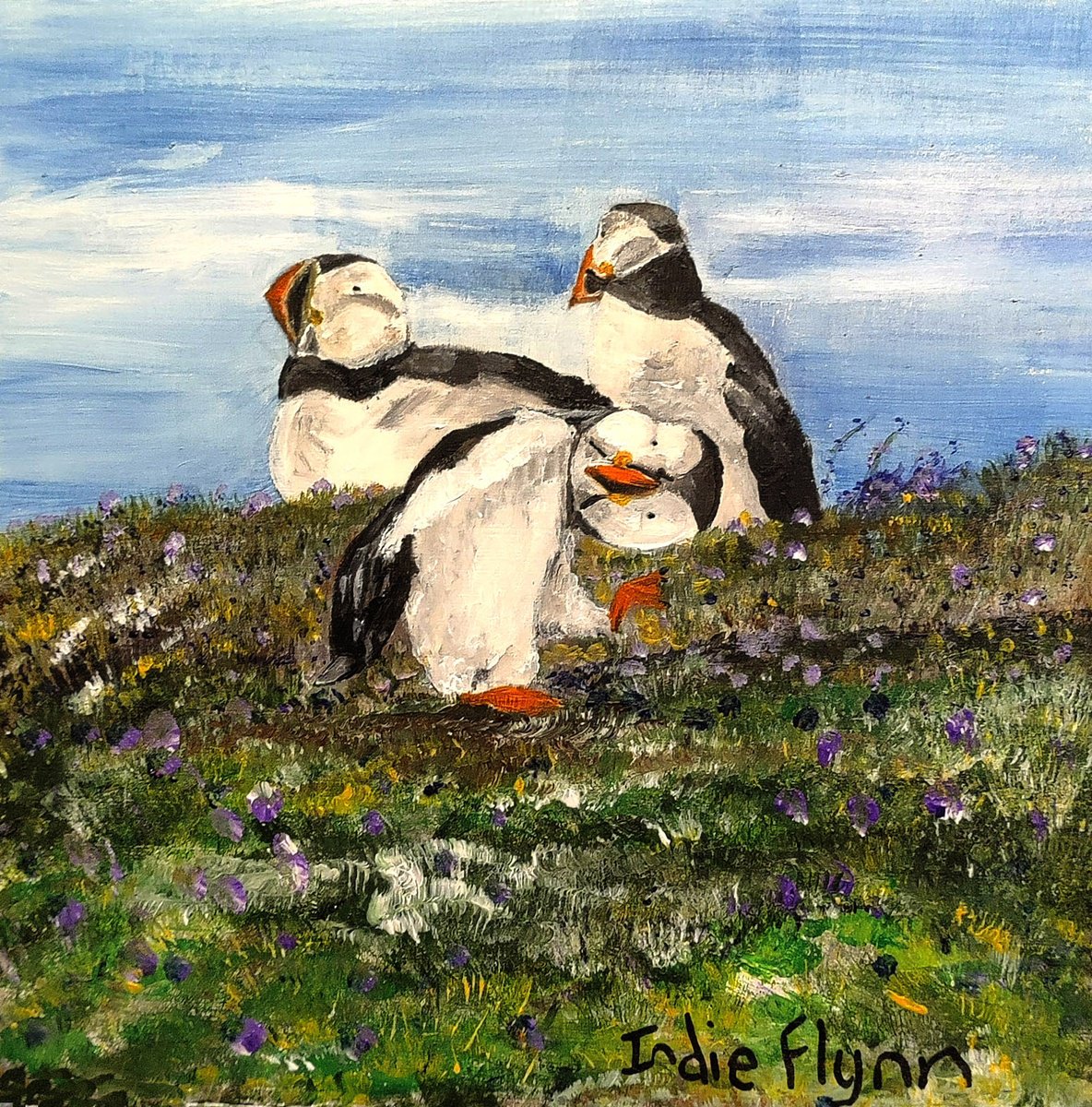 Puffins of Scotland 1 peekaboo by Indie Flynn-Mylchreest of MeriLine Art