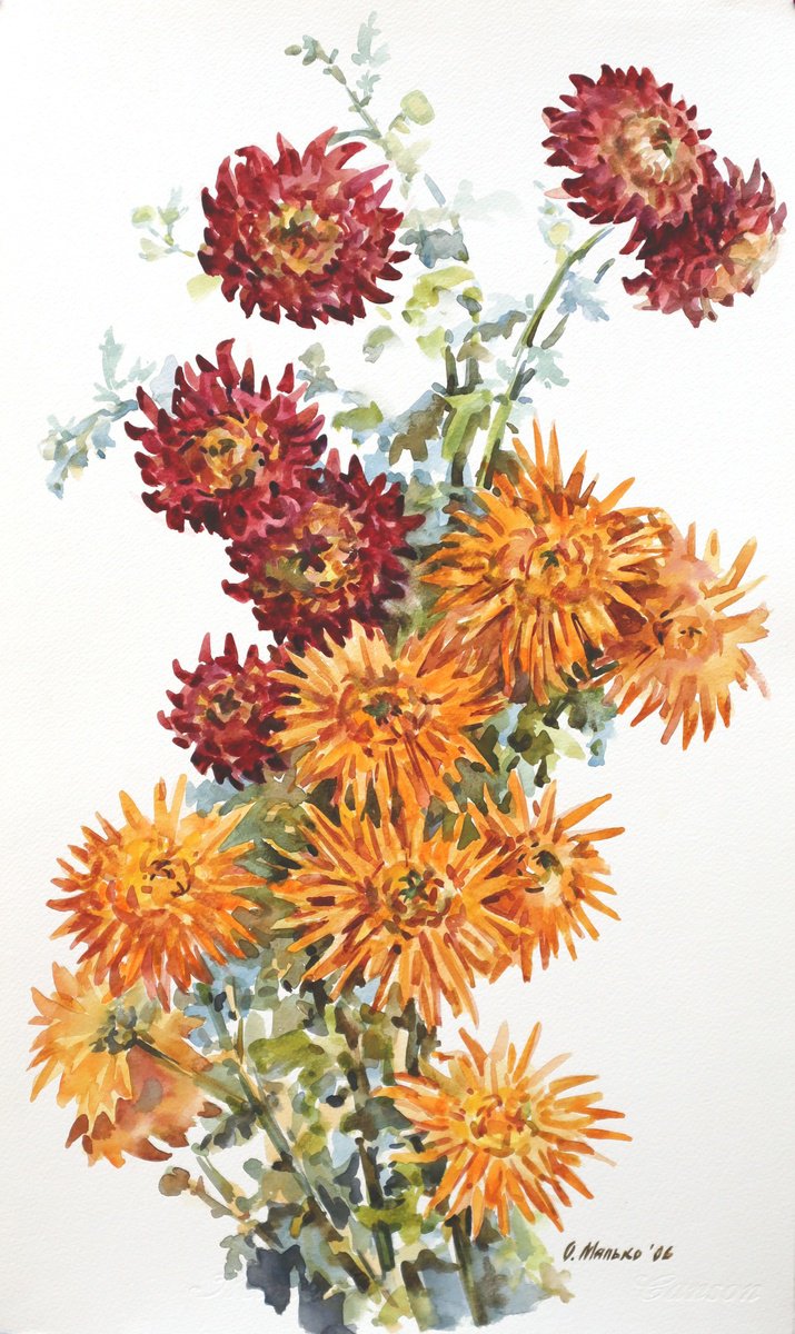 Autumn palette of chrysanthemums / ORIGINAL watercolor ~12x20in (30x50cm) by Olha Malko