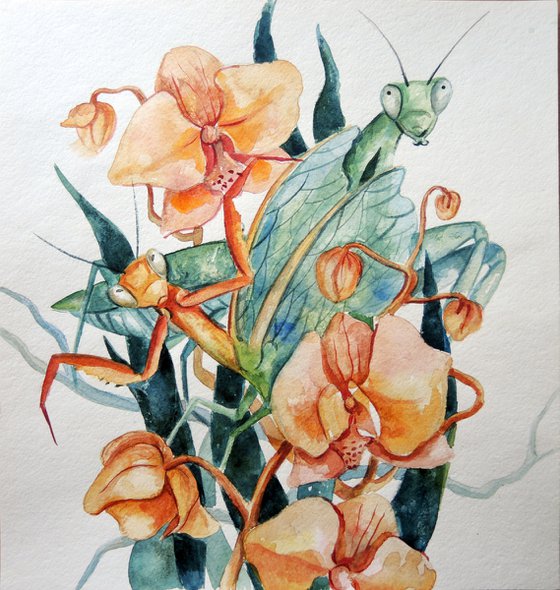 Watercolor illustration with mantises and orchids