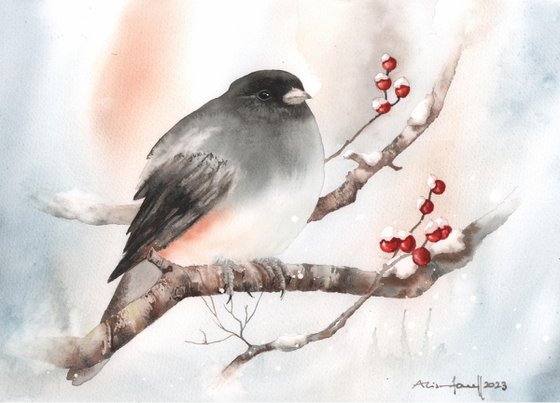 Snowbird Snuggles