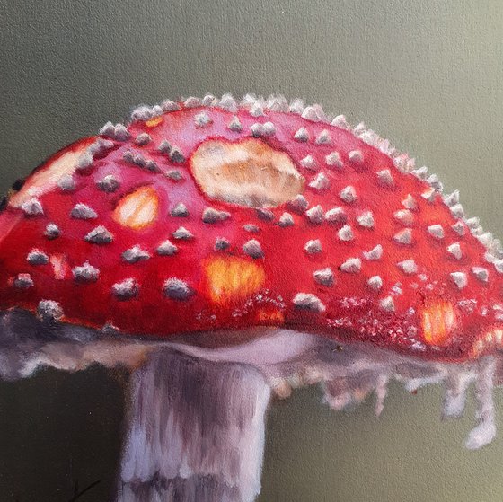 Fly Agaric