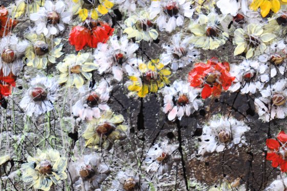 spring is coming