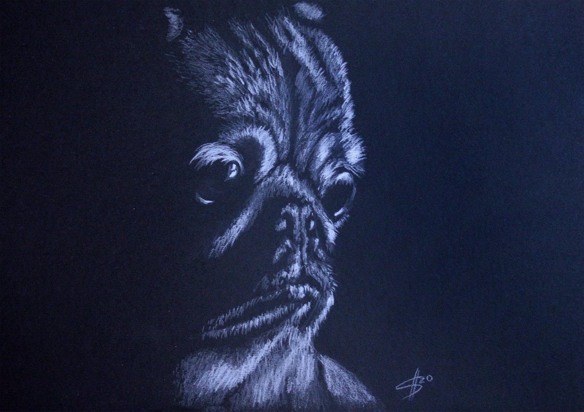 Animal Pencil Drawing By Salana Art / Svetlana Samovarova, 12 X 8", Pug, Original Artwork