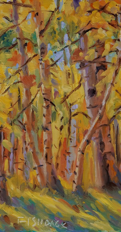 Colorful Aspen Tree Forest by Daniel Fishback