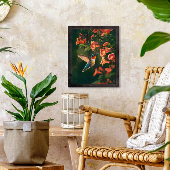 Hummingbird with trumpet vine