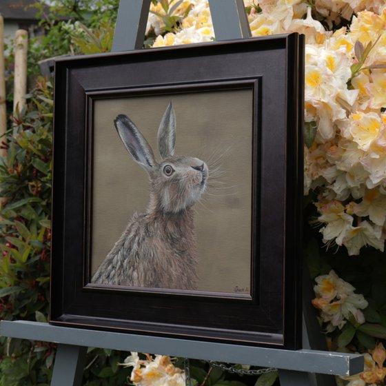 Portrait of a Hare III