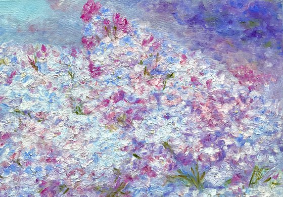 TENDER LILAC