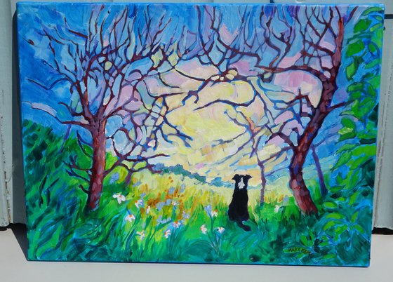 Landscape with Border Collie