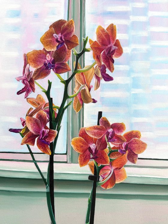 Orchid