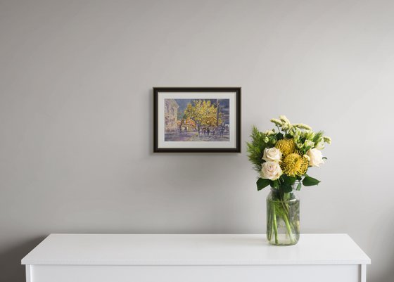 Light Autumn Evening