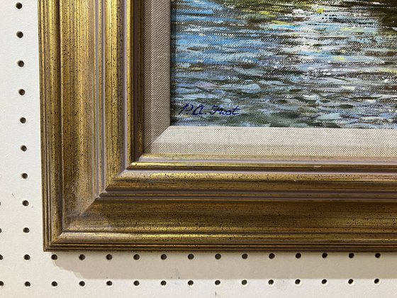 Longhorn Cattle on the Hampshire Avon