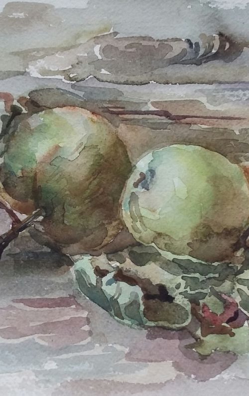 Apples in the garden by Elena Klyan