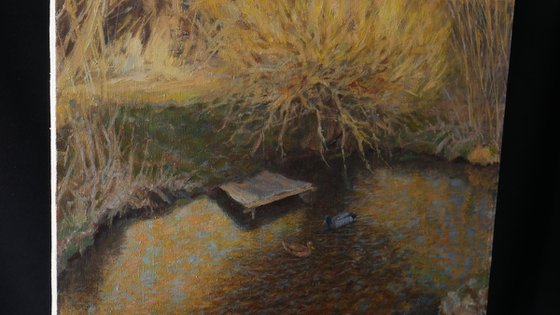 The Golden Evening