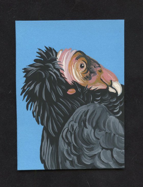 ACEO ATC Original Painting California Condor Wildlife Bird Art-Carla Smale
