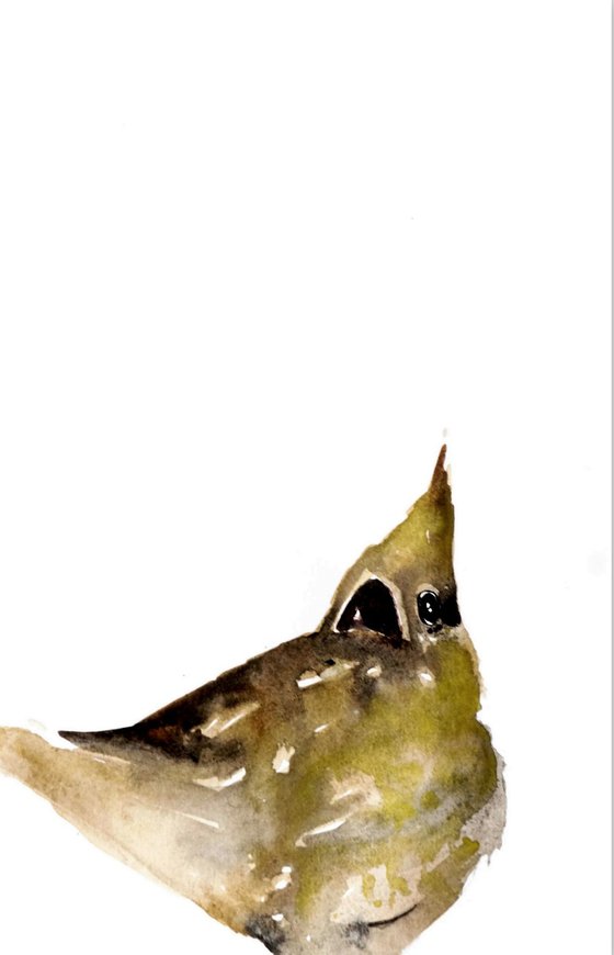 Birds in Watercolor. Set of 3.