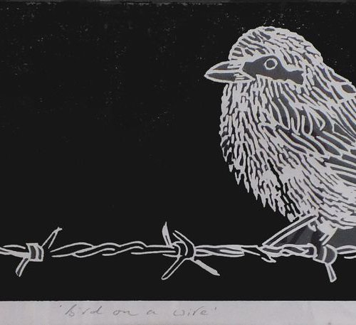 Bird on a wire by Billie Josef