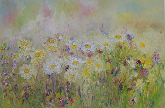 Summer Daisies