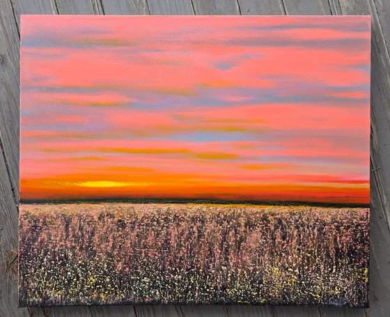 Where the Day Softens