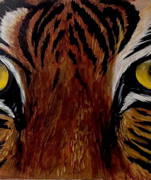 Tiger Eyes by Aisha Haider
