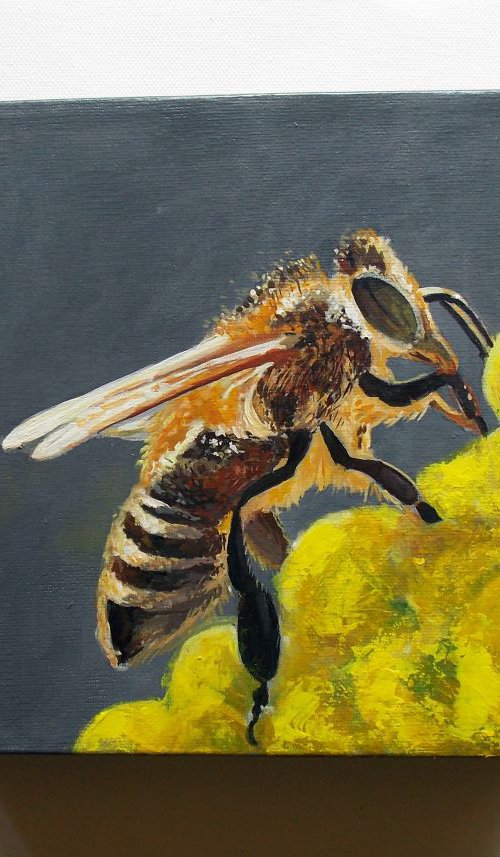 Working Bee by Adriana Vasile