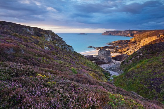 Heather on the coast