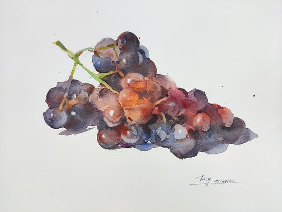 Grapes 5