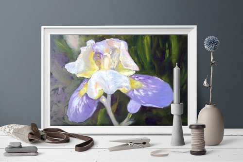 Iris - rainbow flower by Liubov Samoilova