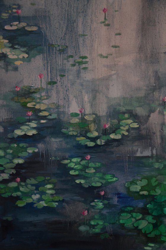 Lily pond. Petrichor