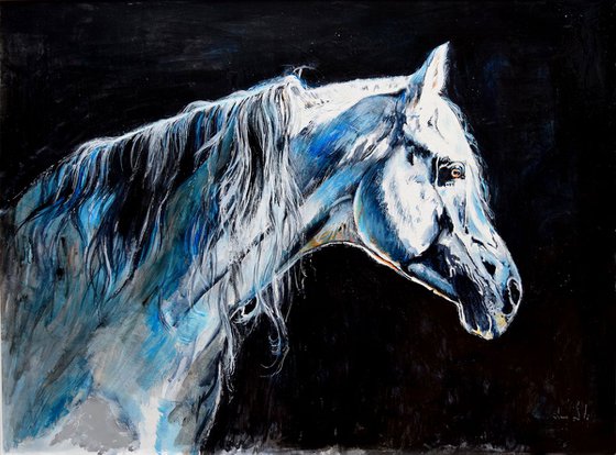 Contre-jour  / Framed Horse Equine Art  Modern Contemporary