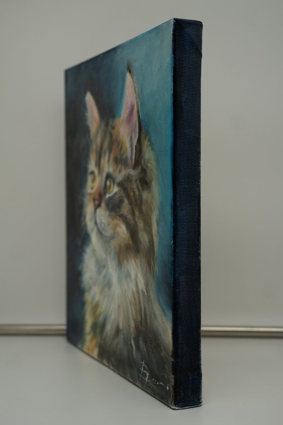 Majestic Longhair Cat