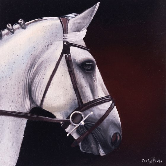 Horse Portrait 95