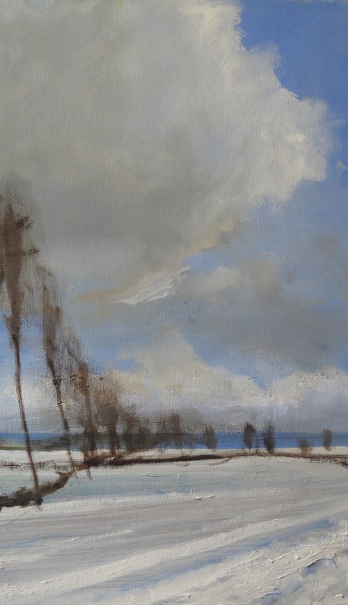 Snow, Jan 8 by Malcolm Ludvigsen