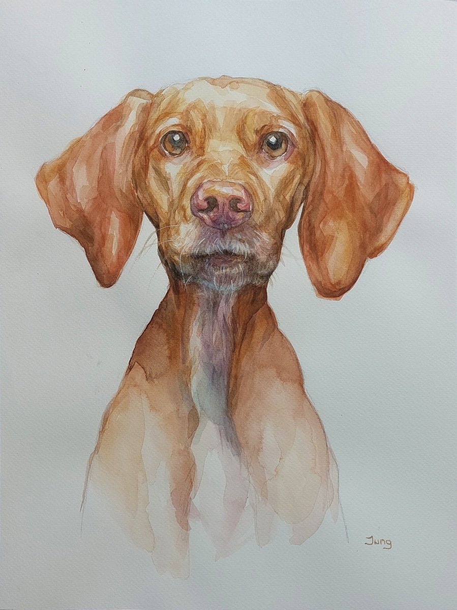 Good boy - dog portrait by Dunja Jung