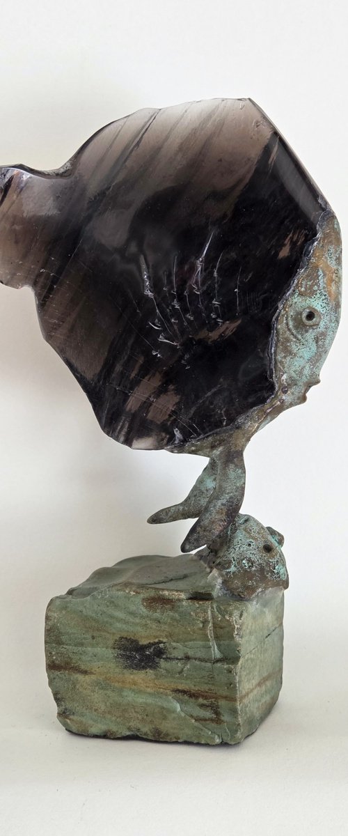 Barbus Fish by Arman Hambardzumyan