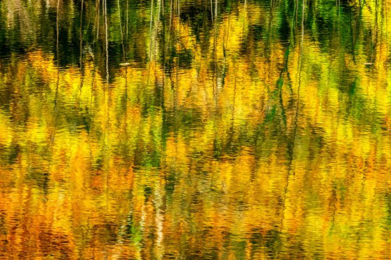 Autumn Trees - Loch Vaa Scotland