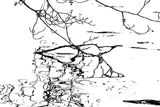 Reflections