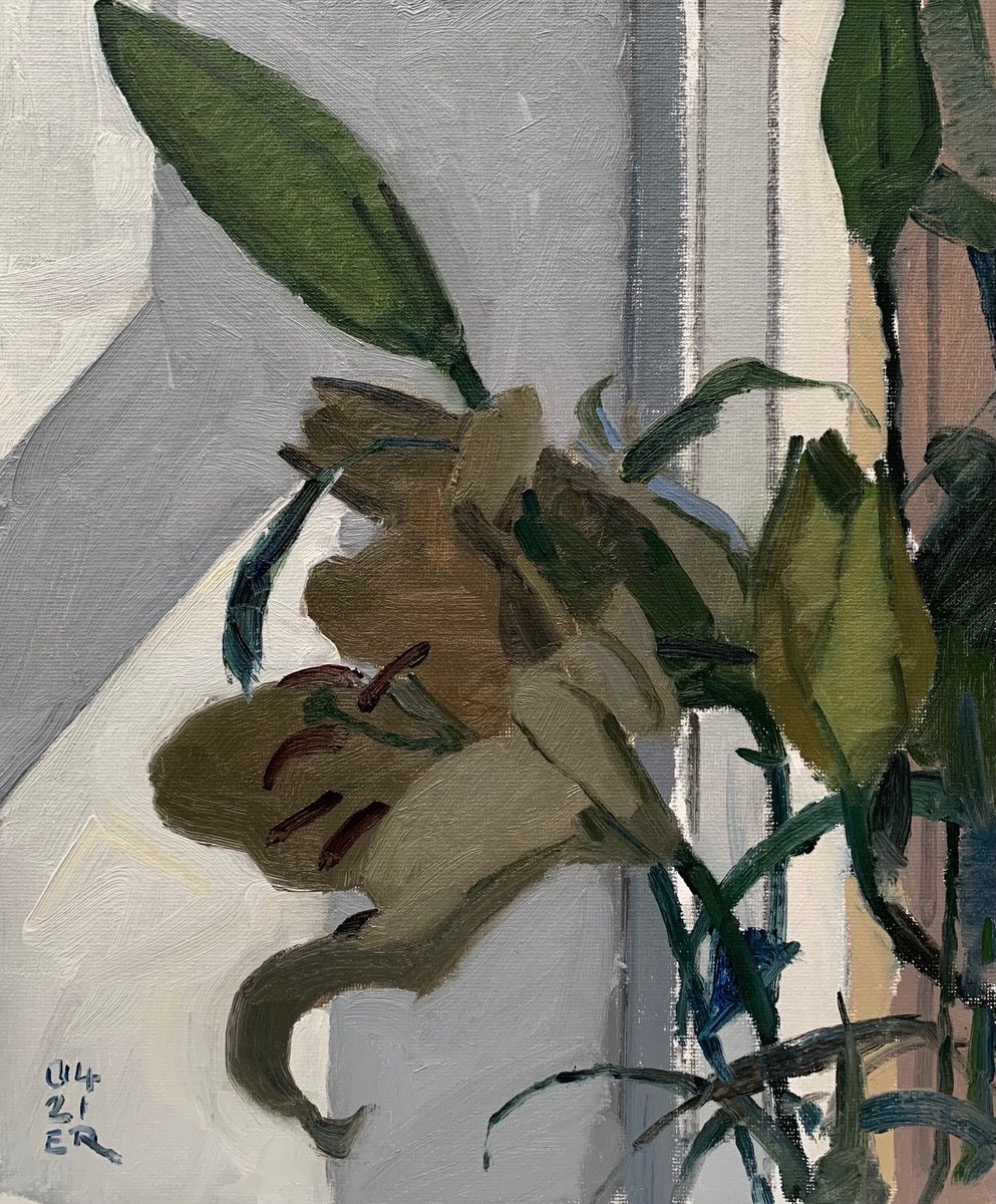 Lily Flower and Buds Detail by Elliot Roworth