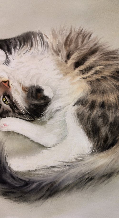 Stay Home  - resting cat - tab by Olga Beliaeva Watercolour