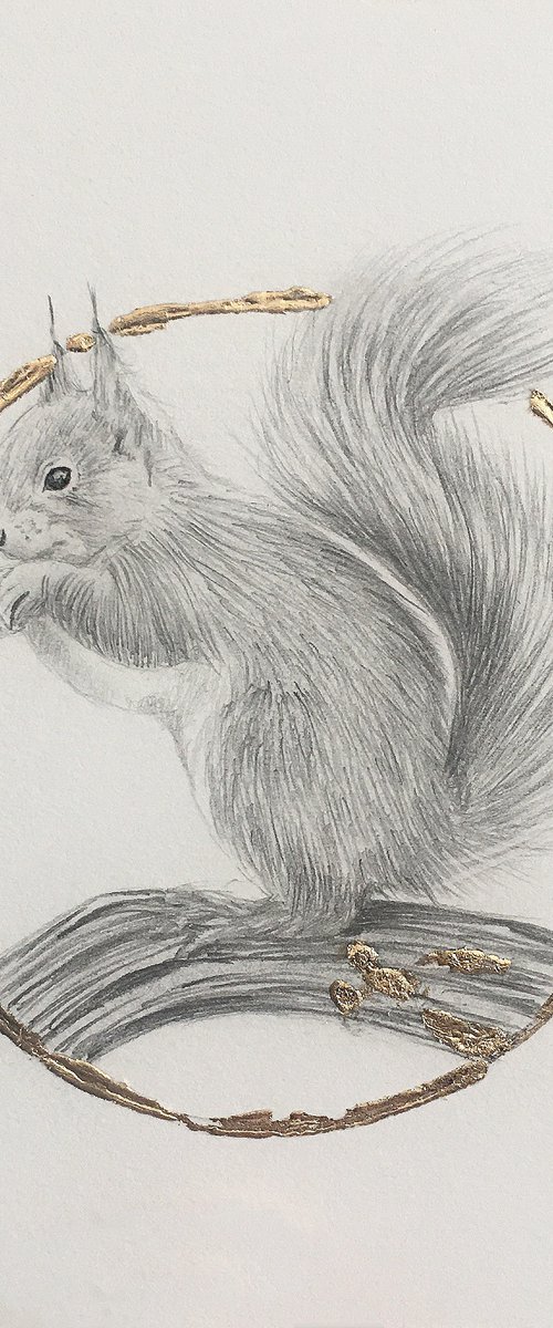 Squirrel drawing by Amelia Taylor