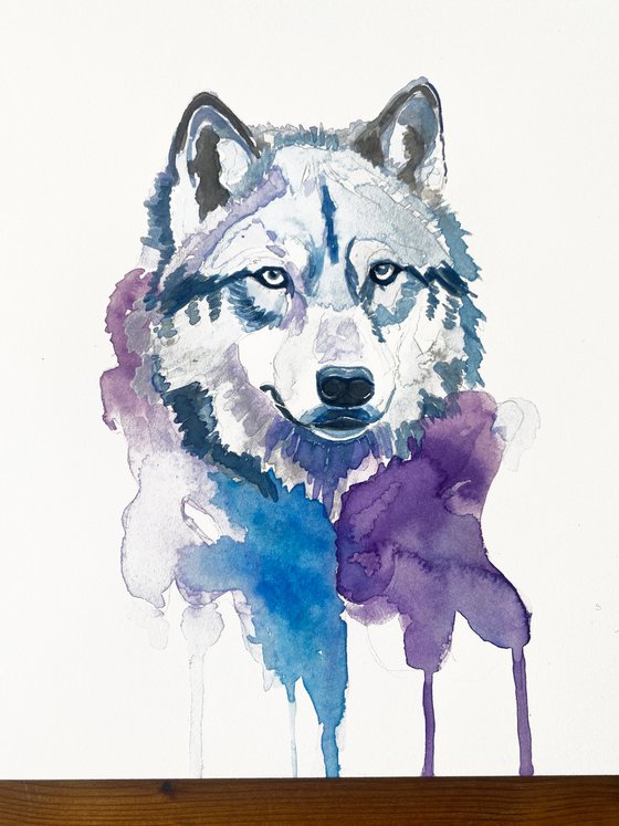 Colourful Wolf Painting