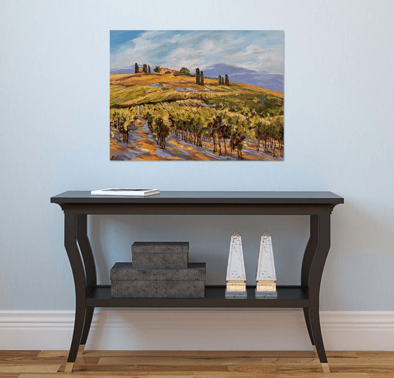 Vignes sous le soleil