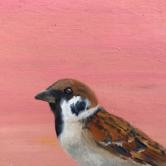 Garden Sparrow on Rose Gold