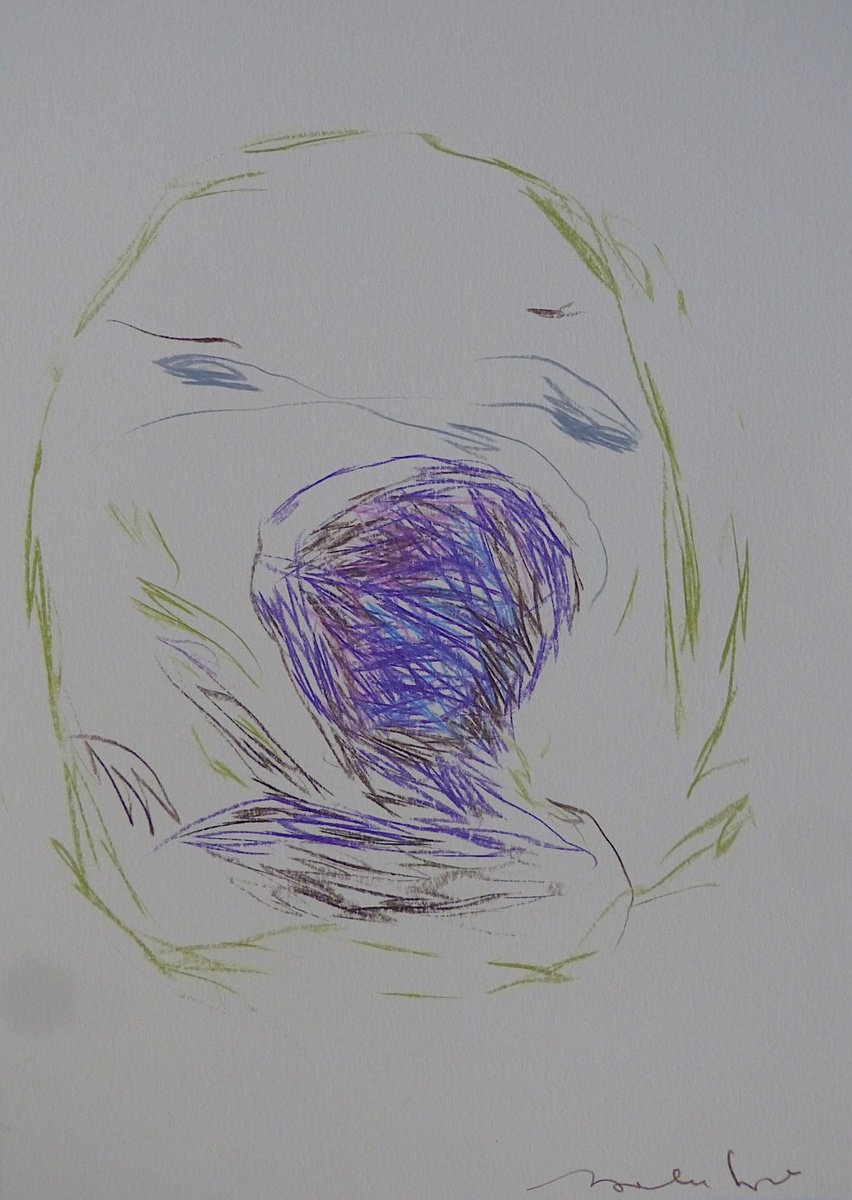 Expressive Portrait Pencil Drawing By Frederic Belaubre, 8 X 11, The Electric Face 4, Original Artwork