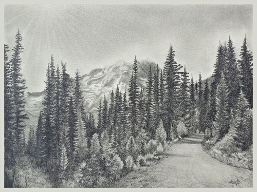 Road to Mount Rainier by Shweta  Mahajan