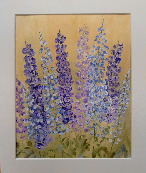 Delphiniums