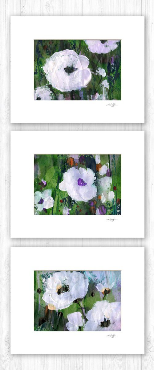 Abstract Floral Collection 2 - 3 Flower Paintings in mats by Kathy Morton Stanion by Kathy Morton Stanion
